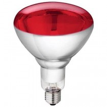 Buy Lampada Philips a raggi infrarossi E27 150W per riscaldamento di pulcini, suinetti e cuccioli 