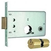 Buy MG 313550 serratura infilare per fasce 1 mandata cilindro tondo Ø 22mm, Entrata 55mm laterale scrocco con mandata 
