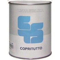 Buy PITTURA MURALE COPRITUTTO  750ml BIANCO OPACO 